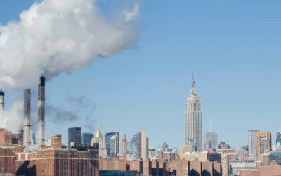 Increased Carbon Capture Projects