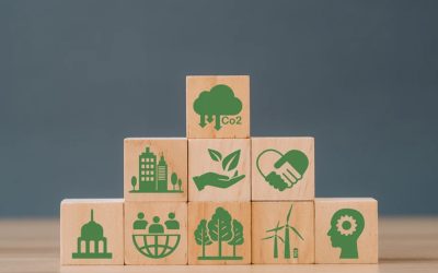 Introduction To Carbon Markets In 2023