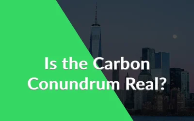 Types of Carbon Offsets in Corporate Environmental Strategies