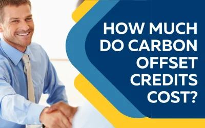 How Much Does It Cost to Buy Carbon Offset Credits?