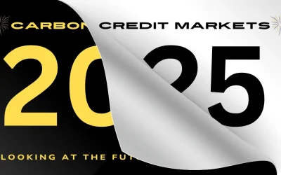 The Future of Carbon Credits: Trends and Predictions for 2025