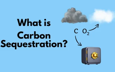 What is Carbon Sequestration?