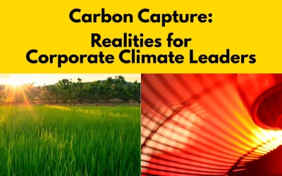 Direct Air Capture vs Carbon Capture: The Realities for Corporate Climate Leaders