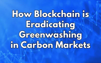 The Unchangeable Ledger: How Blockchain is Eradicating Greenwashing in Carbon Markets