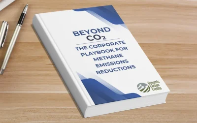 Beyond CO2: The Corporate Playbook for Methane Emissions Reductions