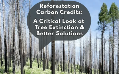Reforestation Carbon Credits: A Critical Look at Tree Extinction and Better Solutions