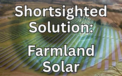 The Land Dilemma: Why High-Integrity Carbon Removal on Farmland Outshines Subsidized Solar